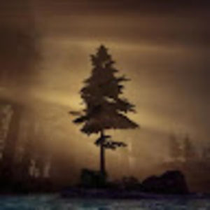 Meet your Posher, Anson